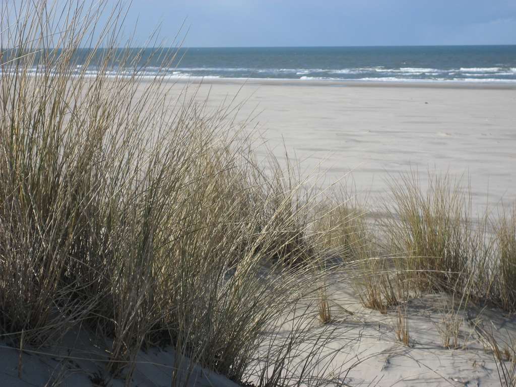 Ringhotel Residenz Wittmund Buitenkant foto
